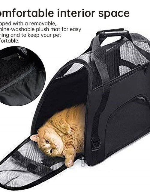 Load image into Gallery viewer, Foldable &amp; Expandable Pet Carrier Bag - Mesh Breathable Cat/Dog Travel Bag, Convertible Crossbody Handbag for Small Pets

