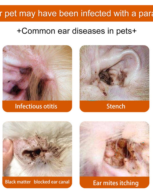Load image into Gallery viewer, Yegbong Pet Ear Wipes, Pet Ear Cleaning Deodorizing Removing Mite And Earwax Cleaning Wipes
