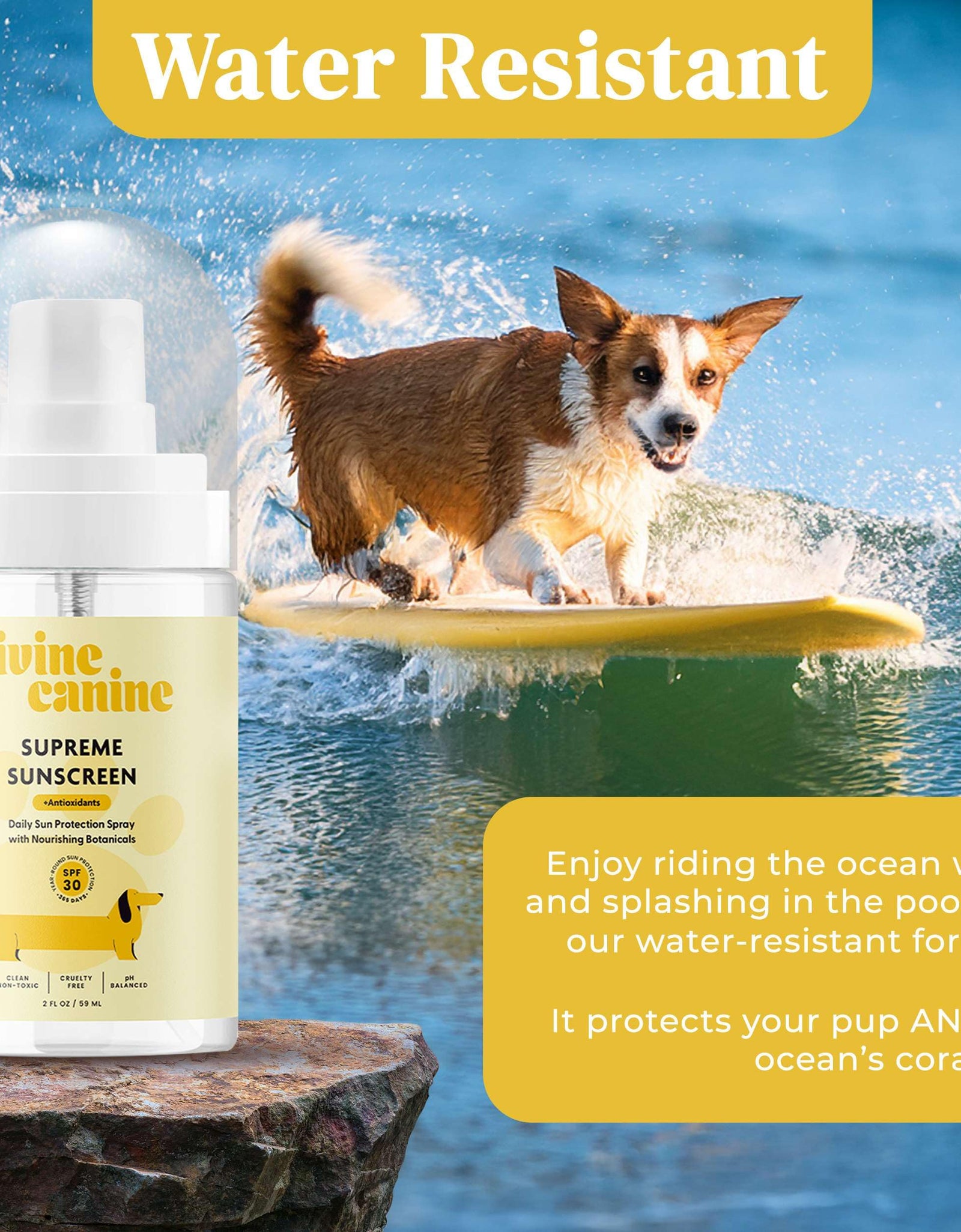 Divine Canine Summer Essentials Dog Care Kit Sunscreen Paw Balm
