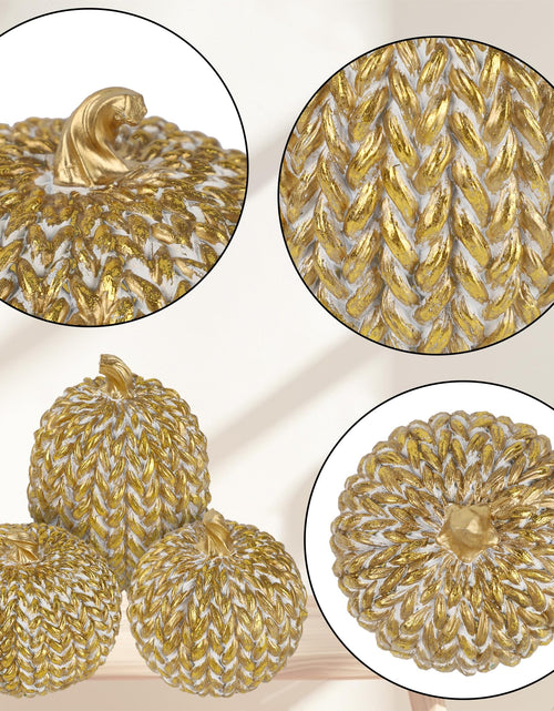 Load image into Gallery viewer, winemana Fall Decorations Set of 3 Gold White Resin Pumpkins Woven Design
