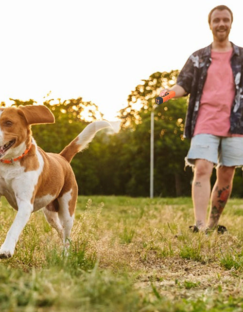 Load image into Gallery viewer, 2025 Dog Repellent: Ultrasonic dog training device, rechargeable dog bark deterrent with LED flashlight.
