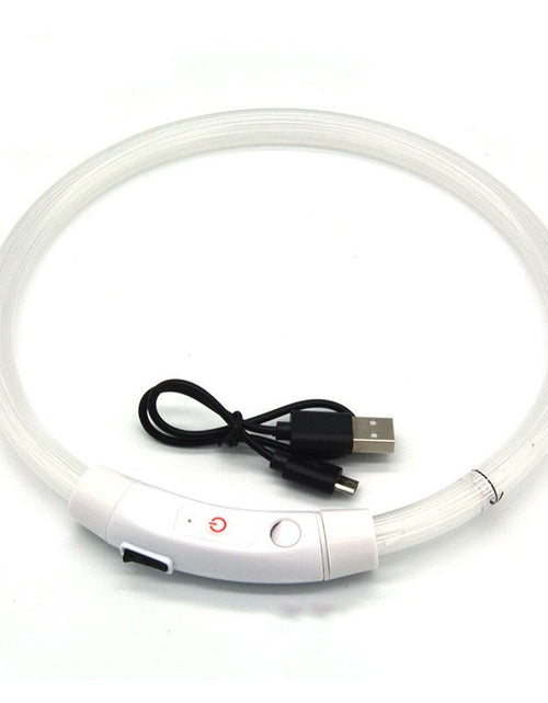 Load image into Gallery viewer, Dog luminous collar luminous pet collar USB charging neck ring LED luminous dog collar

