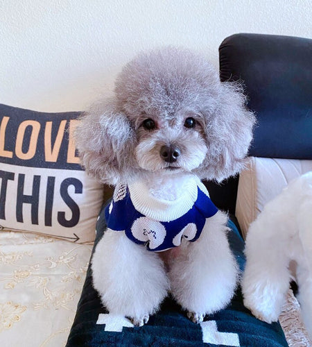 Teddy/Bichon/Maltese Winter Warm Sweater - Cute Fruit-Print Knit