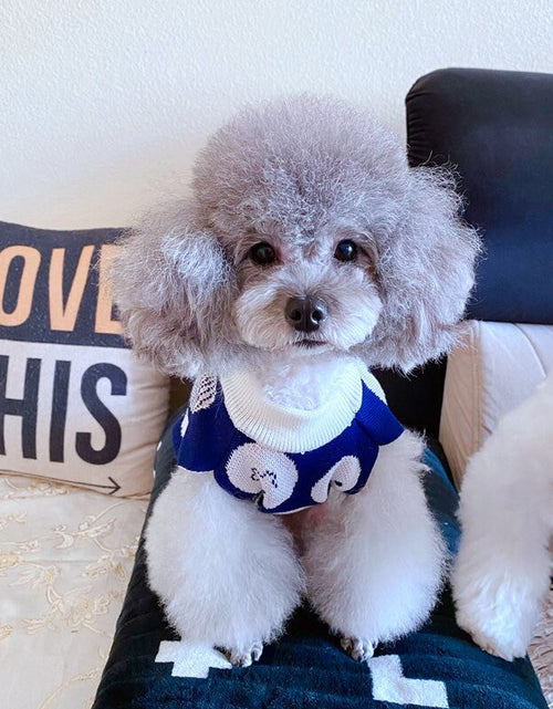 Load image into Gallery viewer, Teddy/Bichon/Maltese Winter Warm Sweater - Cute Fruit-Print Knit
