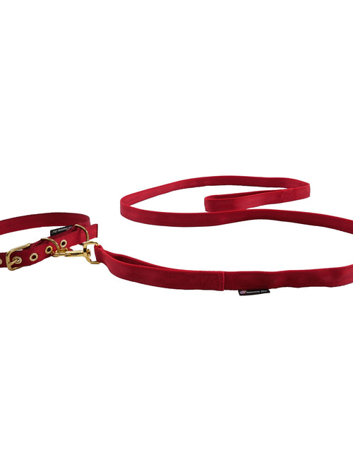 Load image into Gallery viewer, Leashes Seatbelt
