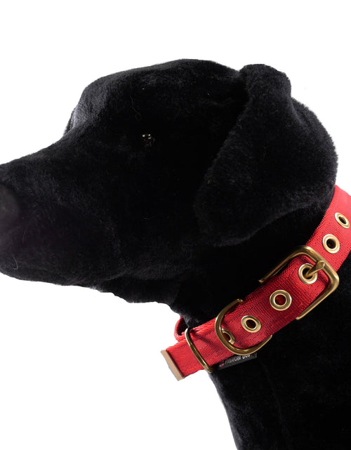 Load image into Gallery viewer, Collars Seatbelt
