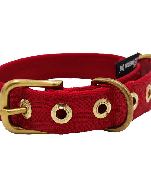 Load image into Gallery viewer, Collars Seatbelt
