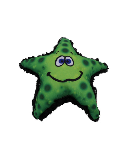 Stanley Starfish