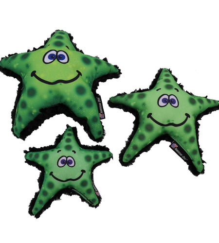 Stanley Starfish