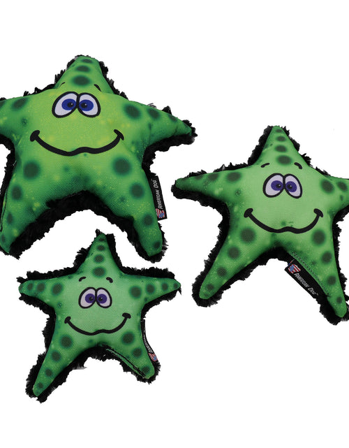 Load image into Gallery viewer, Stanley Starfish
