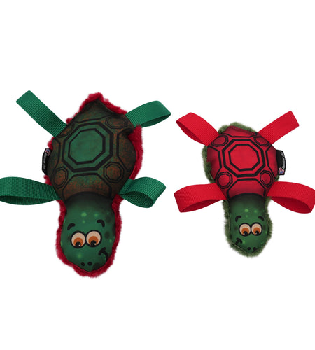 Tommy Turtle