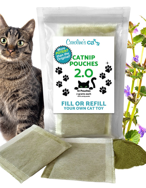 Load image into Gallery viewer, Caroline's Cats Organic Catnip Packets for Cat Toys 2.0 – More Potent Refill Pouches for Flapping Bird, Flopping Fish, and Others, 10 Tea Bags
