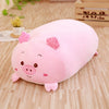 pig