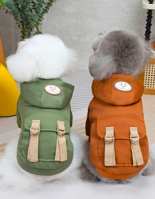 Load image into Gallery viewer, Pet clothes sweaters clothing for dogs teddy cats cool style two legged cotton clothes
