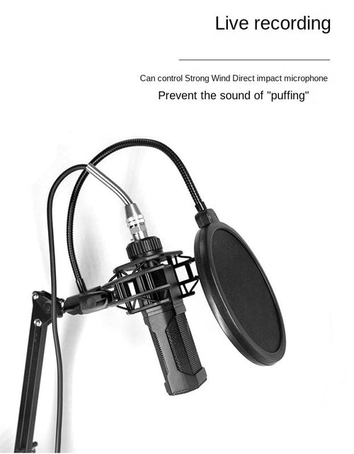 Load image into Gallery viewer, Direct Factory Supply Windscreen for Live Streaming Microphone Double Layer Capacitor Mic Windscreen for Broadcaster Recording Studio Microphone Windscreen
