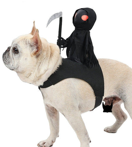 Dog Dark Harvesting Knight Transforms into Pet Costume for Halloween