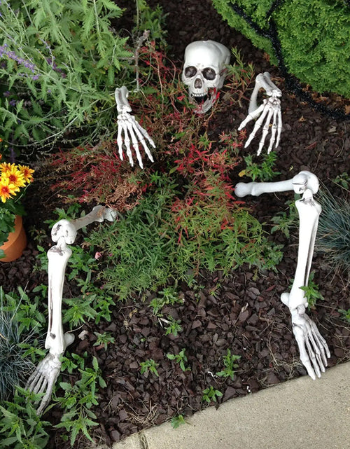 Load image into Gallery viewer, Halloween Skeleton Stakes: Realistic Skull, Head, Hands/Arms – For Party, Home, Garden, Lawn
