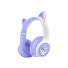 AKZ-07 Purple