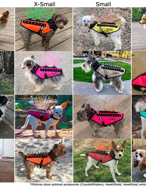 Load image into Gallery viewer, CoyoteVest
