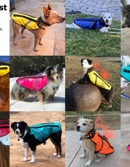 Load image into Gallery viewer, CoyoteVest
