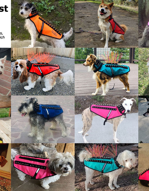 Load image into Gallery viewer, CoyoteVest
