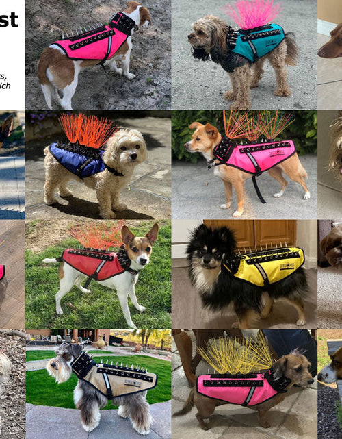 Load image into Gallery viewer, CoyoteVest
