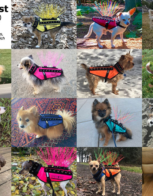 Load image into Gallery viewer, CoyoteVest
