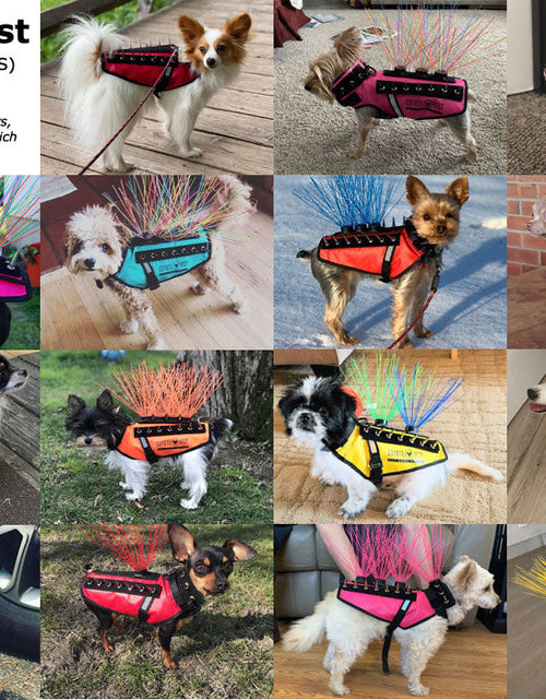 Load image into Gallery viewer, CoyoteVest
