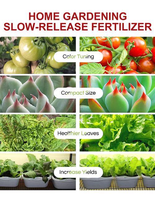 Load image into Gallery viewer, Plant Growth Nutrition Sustained-Release Tablet, Fruit And Vegetable Plant Pot Root Growth Universal Nutrition Tablet
