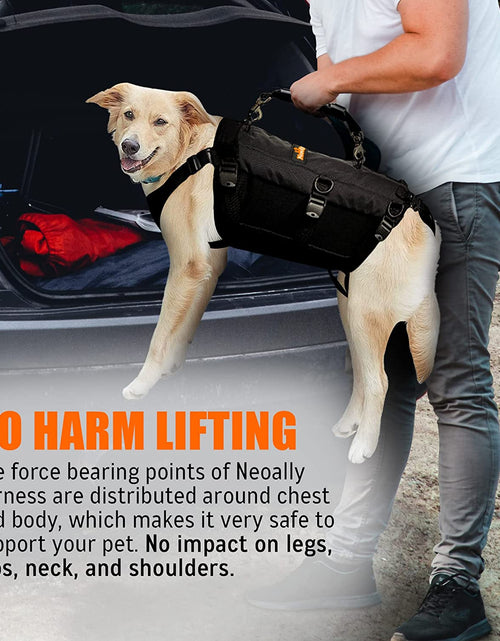 Load image into Gallery viewer, [LIFETIME WARRANTY!] NeoAlly 5-in-1 Sturdy Dog Lift Harness Full Body Support
