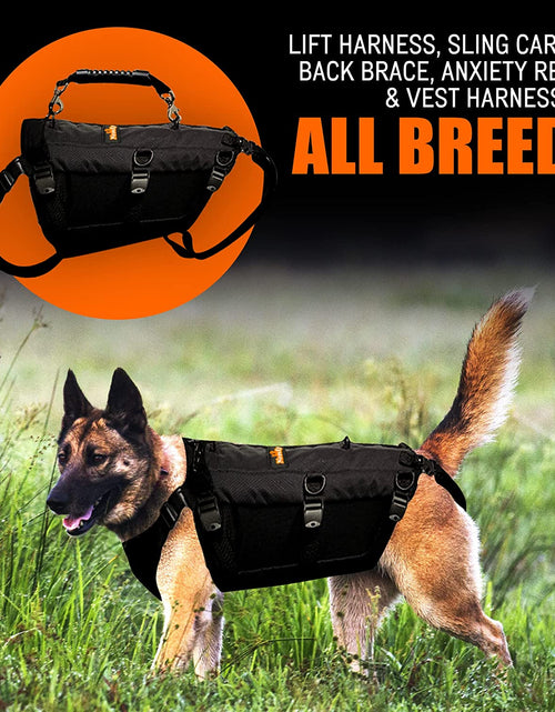 Load image into Gallery viewer, [LIFETIME WARRANTY!] NeoAlly 5-in-1 Sturdy Dog Lift Harness Full Body Support

