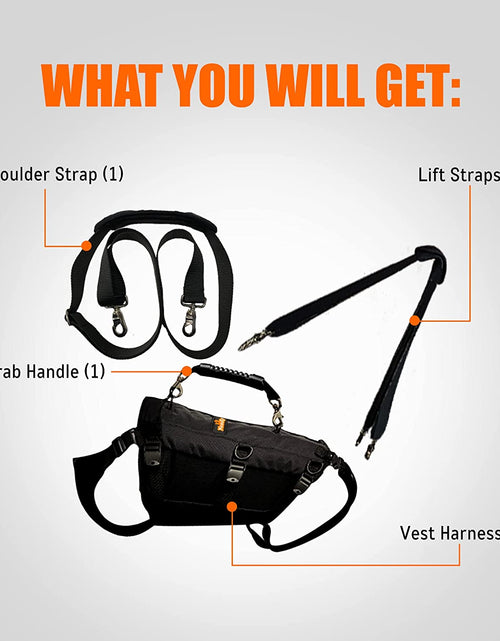 Load image into Gallery viewer, [LIFETIME WARRANTY!] NeoAlly 5-in-1 Sturdy Dog Lift Harness Full Body Support
