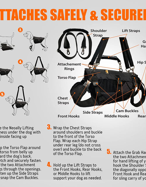 Load image into Gallery viewer, [LIFETIME WARRANTY!] NeoAlly 5-in-1 Sturdy Dog Lift Harness Full Body Support
