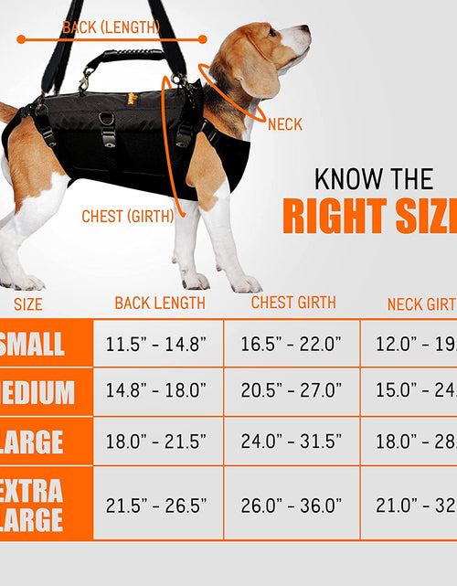 Load image into Gallery viewer, [LIFETIME WARRANTY!] NeoAlly 5-in-1 Sturdy Dog Lift Harness Full Body Support
