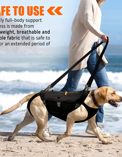 Load image into Gallery viewer, [LIFETIME WARRANTY!] NeoAlly 5-in-1 Sturdy Dog Lift Harness Full Body Support
