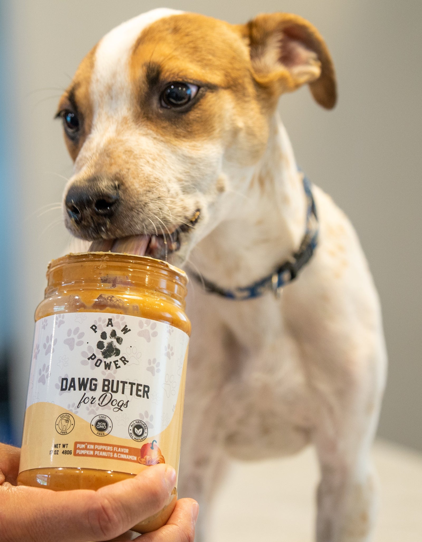 Dawg Butter Pum'kin Puppers Flavor