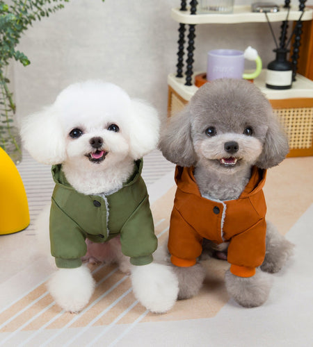 Pet clothes sweaters clothing for dogs teddy cats cool style two legged cotton clothes