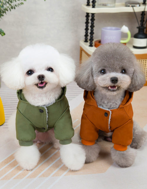 Load image into Gallery viewer, Pet clothes sweaters clothing for dogs teddy cats cool style two legged cotton clothes
