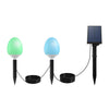 2 bulbs (colorful light)