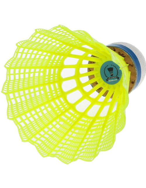 Load image into Gallery viewer, 6pcs Gym Exercise Training Nylon Badminton Ball
