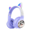 AKZ 09 Simulation Cat Purple