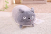 totoro
