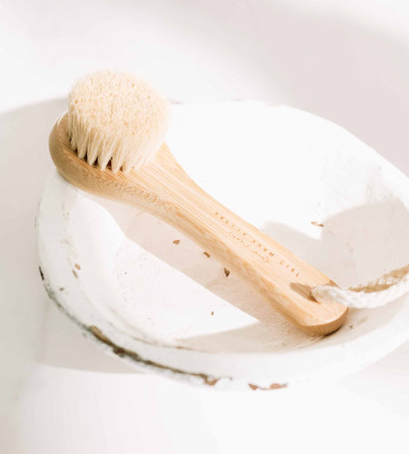 Dry Face Brush