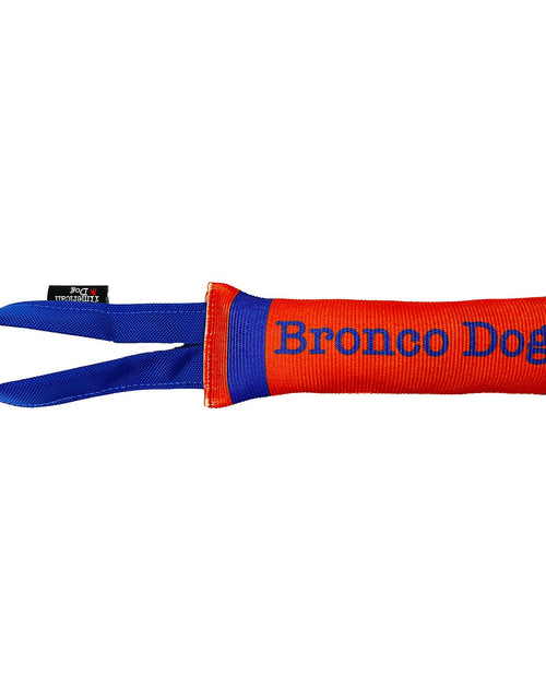 Load image into Gallery viewer, Fire Hose Dog Toy Tugs
