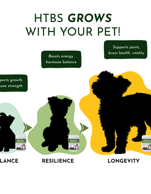 Load image into Gallery viewer, Holistic Total Body Support – Multivitamin &amp; Glandular Support for Dogs and Cats
