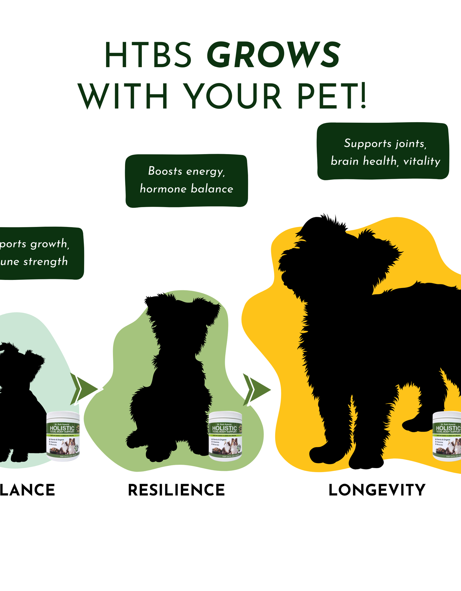 Holistic Total Body Support – Multivitamin & Glandular Support for Dogs and Cats