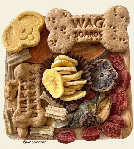 Barkday Wagboard