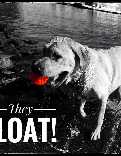 Load image into Gallery viewer, WUNDERball - Best Fetch Toy
