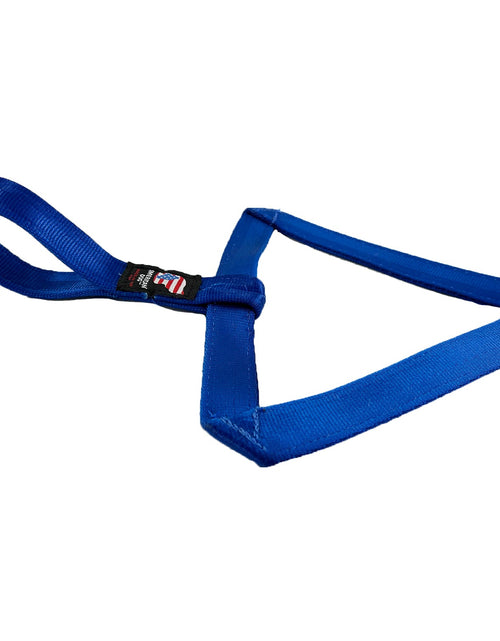 Load image into Gallery viewer, LUCKY DOG $7 Arrow Seatbelt Tug
