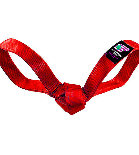 LUCKY DOG $7 Love Bird Seatbelt Tug